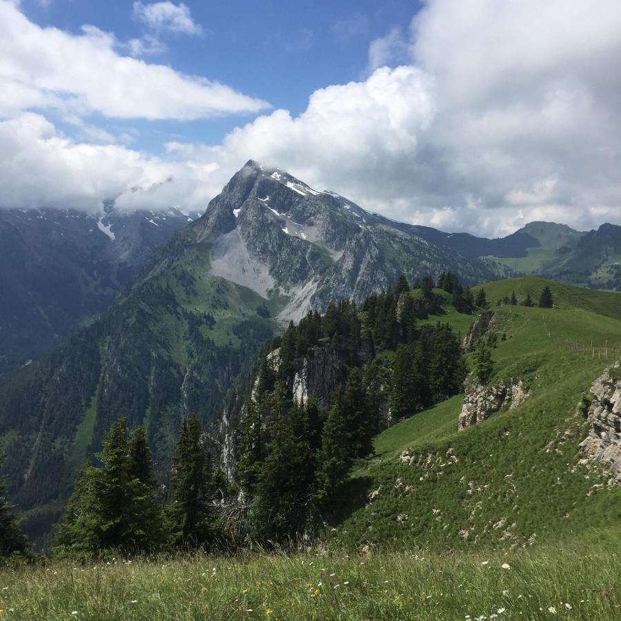 Gasthof Hirschen Oey Экстерьер фото